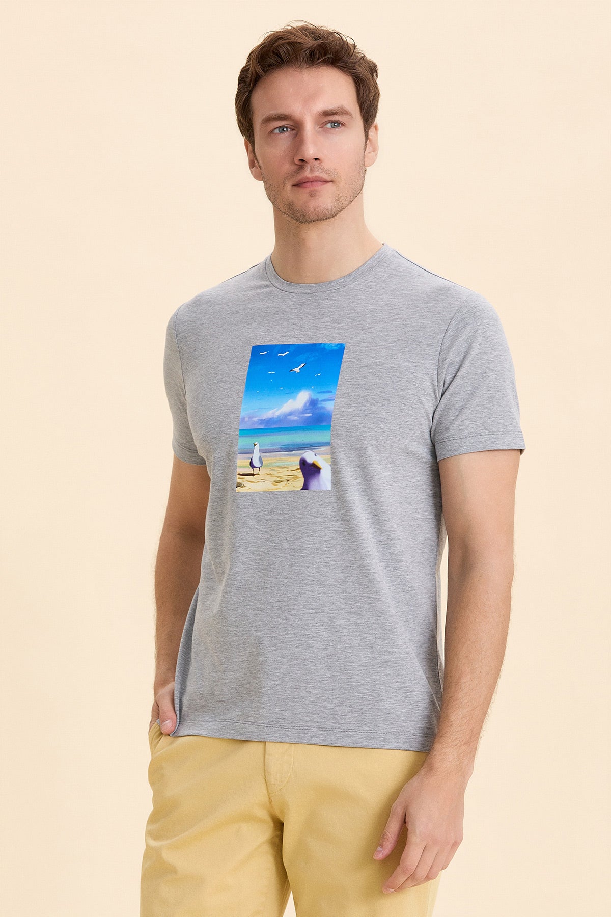 Gray Melange Printed T-Shirt
